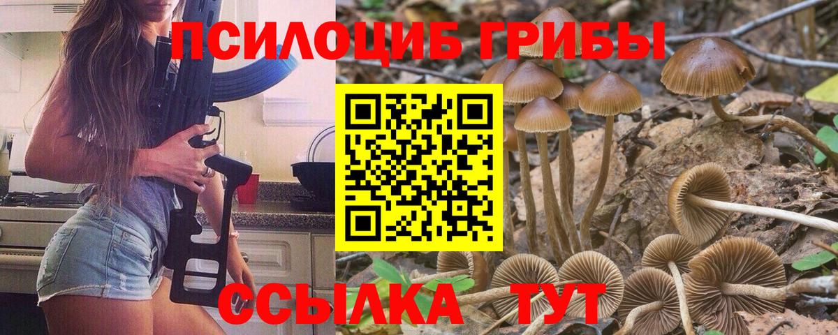Псилоцибиновые грибы Cubensis Кемерово